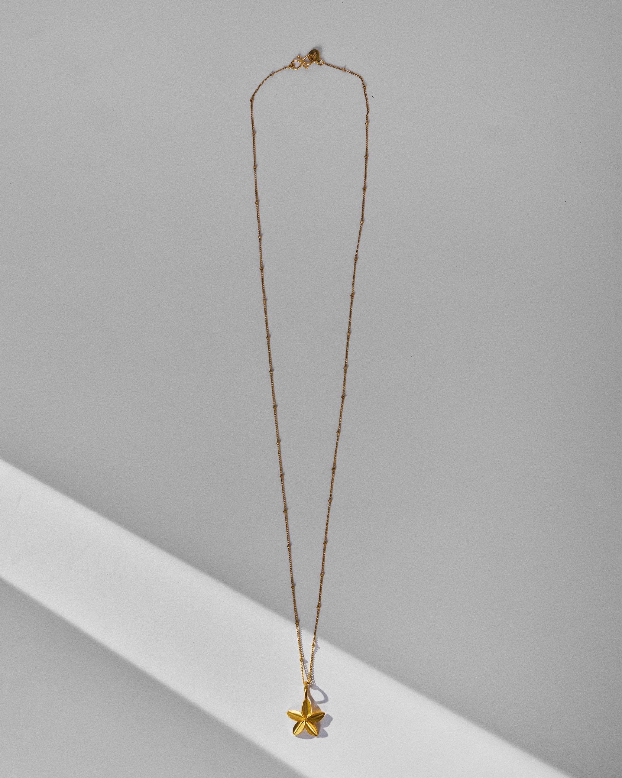 Frangi Charm with Chain - Gold