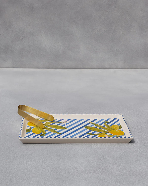 The tray side-on with the tongs resting on it