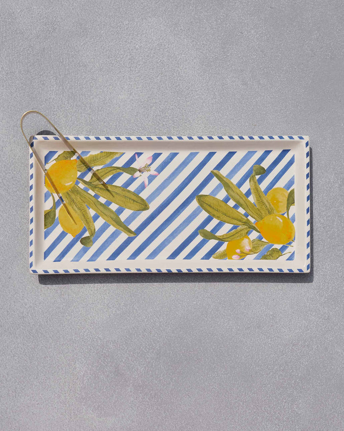 The tray from above with the tongs