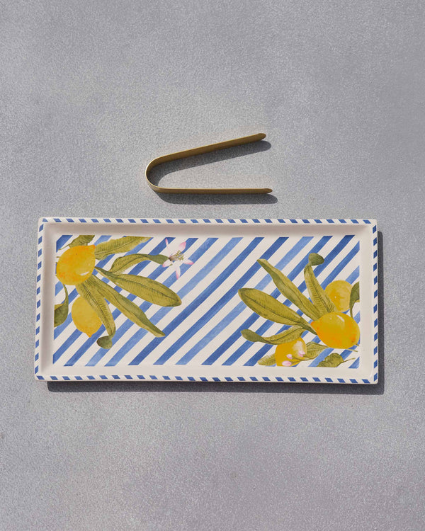The tray with the tongs laid above