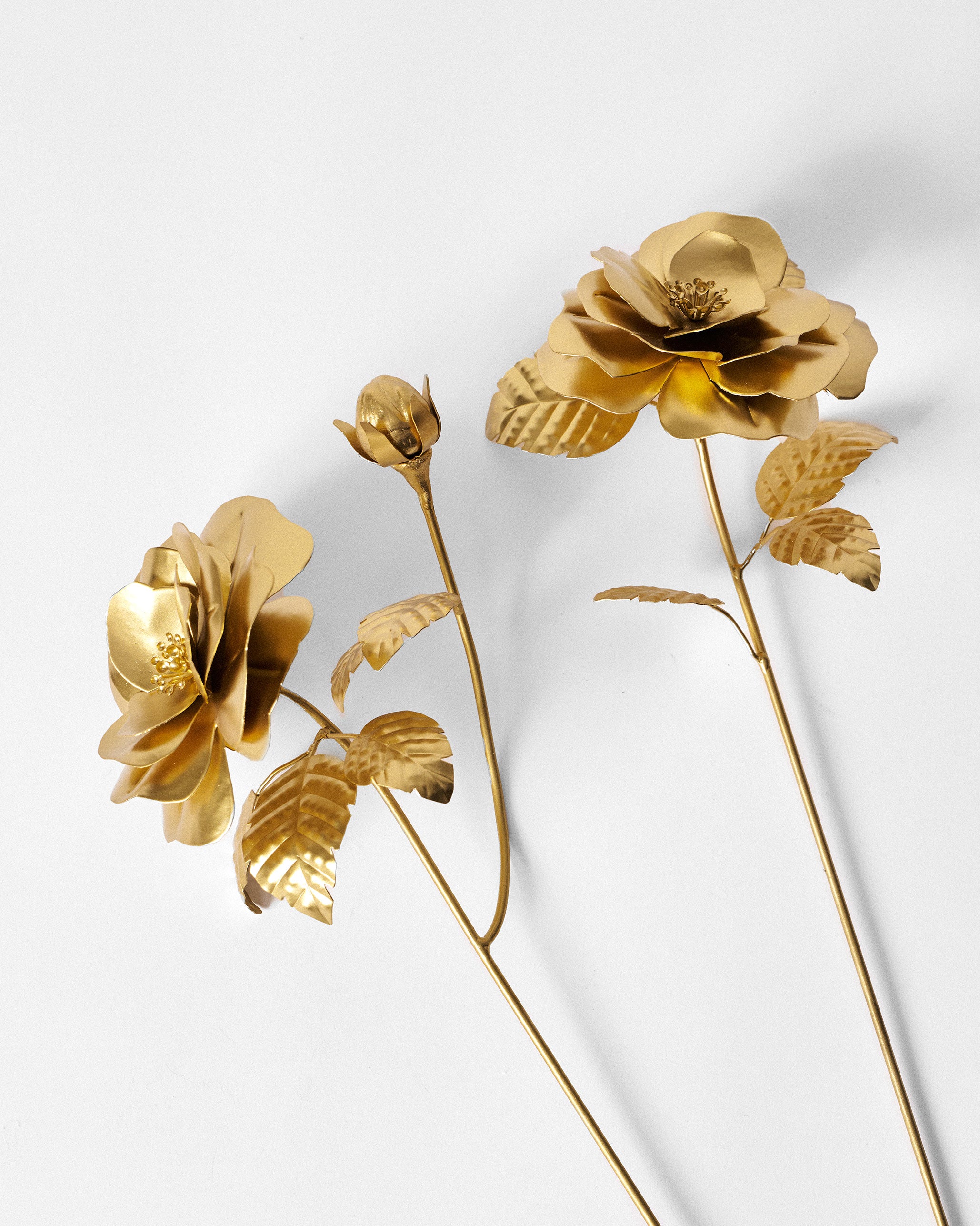 Rose Home Accent - Set of 2