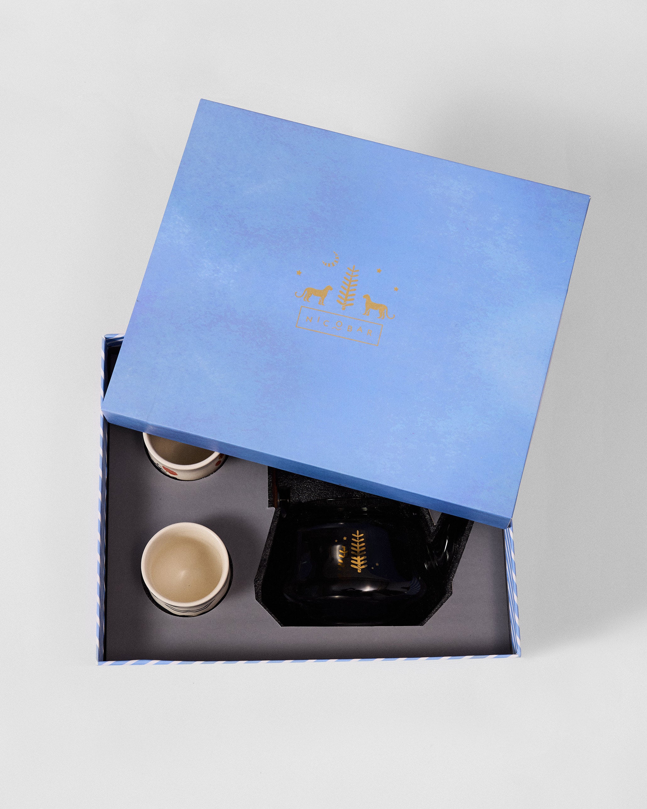 Aaranya Teapot and Kulhars Set