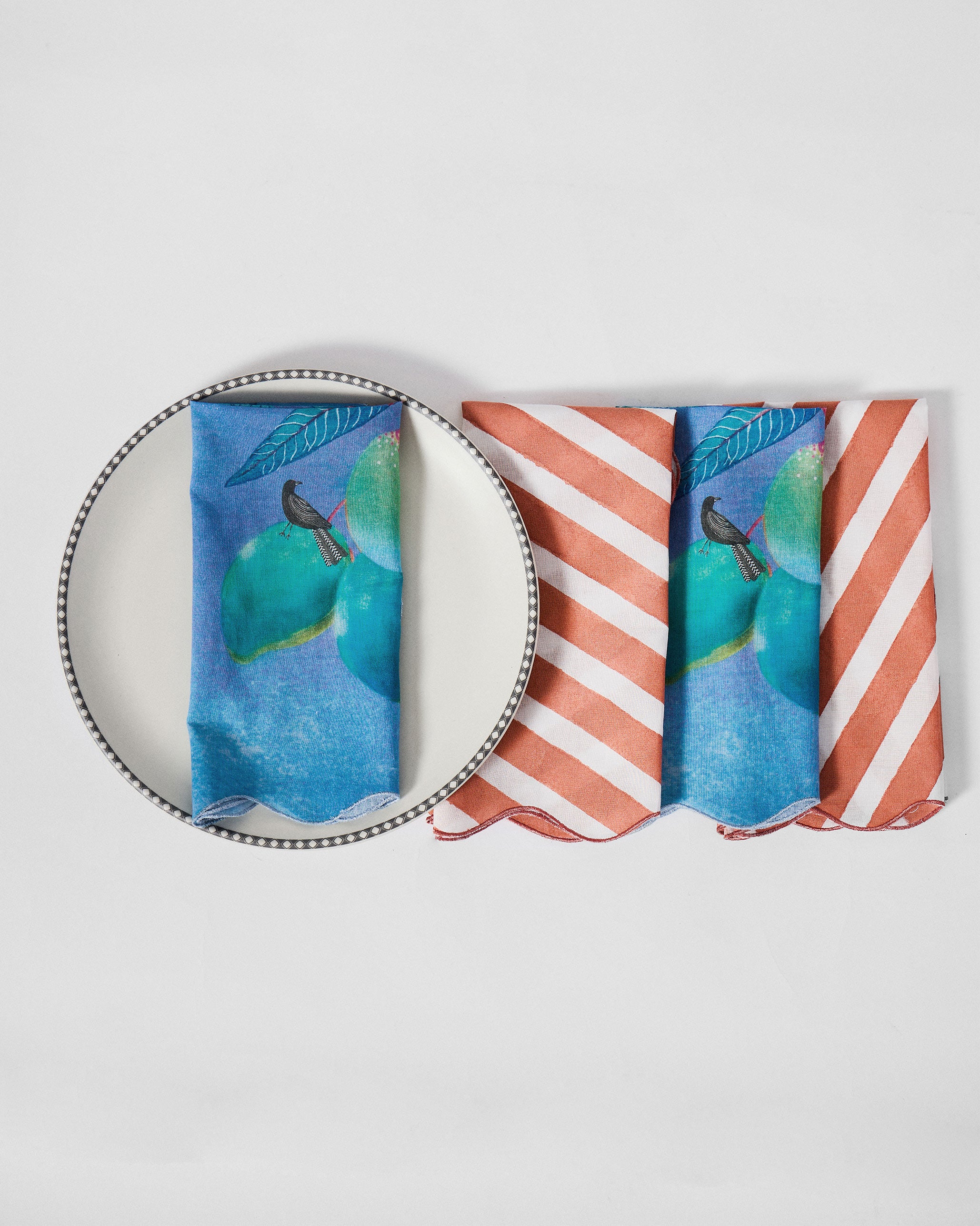 Ambi Dining Napkin - Set of 4