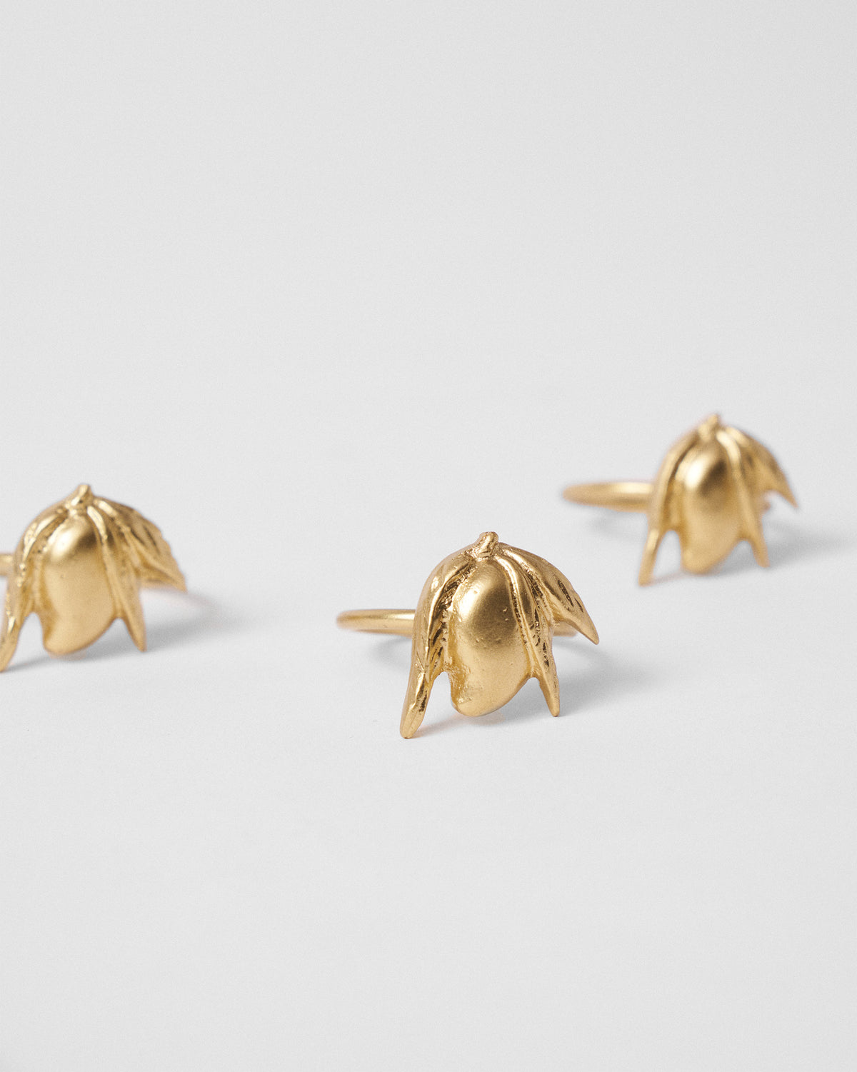 Ambi Napkin Ring - Set of 4