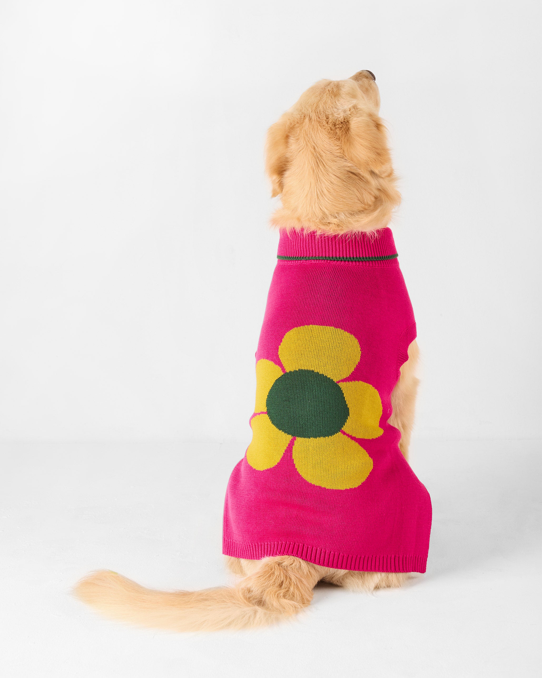 Bark Bloom Dog Sweater - Fuchsia