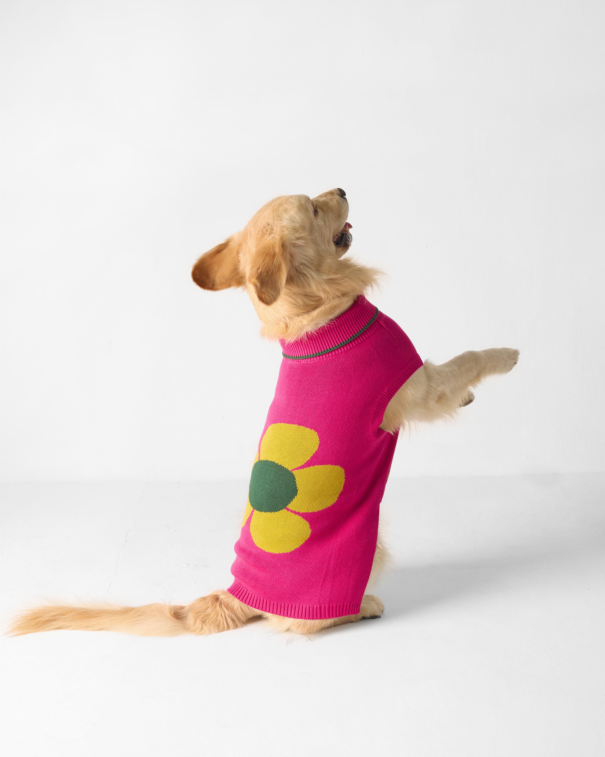 Bark Bloom Dog Sweater - Fuchsia