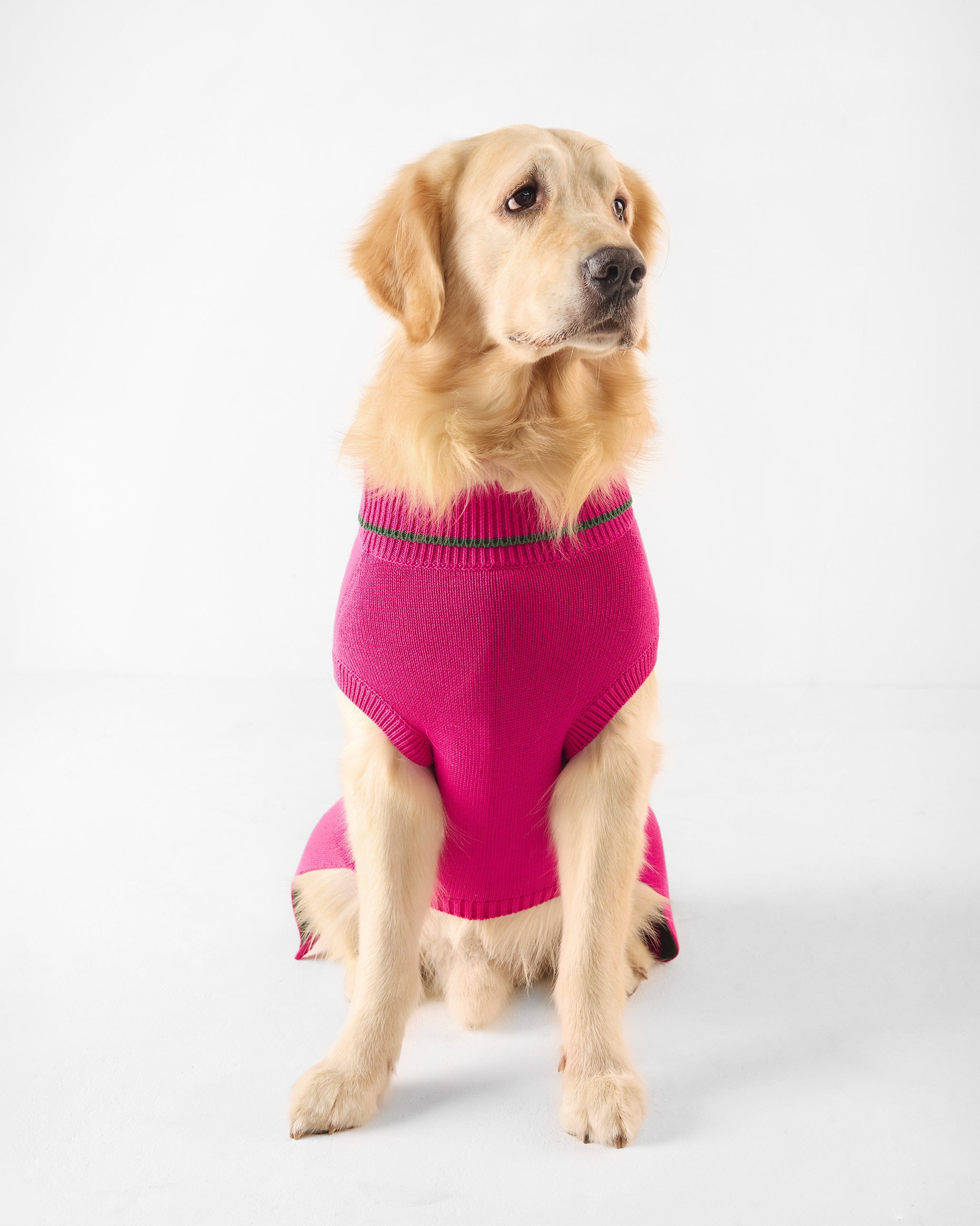 Bark Bloom Dog Sweater - Fuchsia
