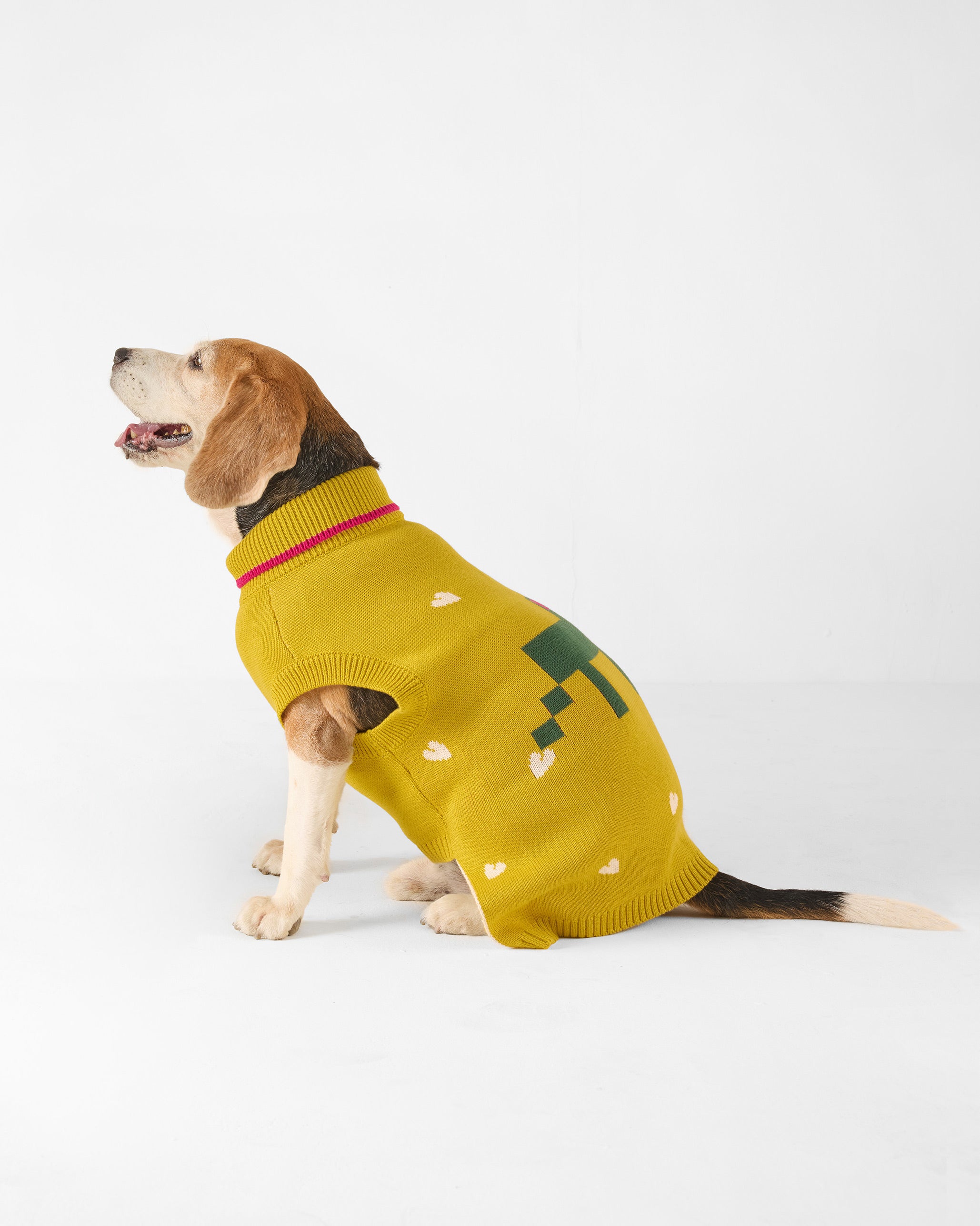 Jurassic Bark Dog Sweater - Chartreuse