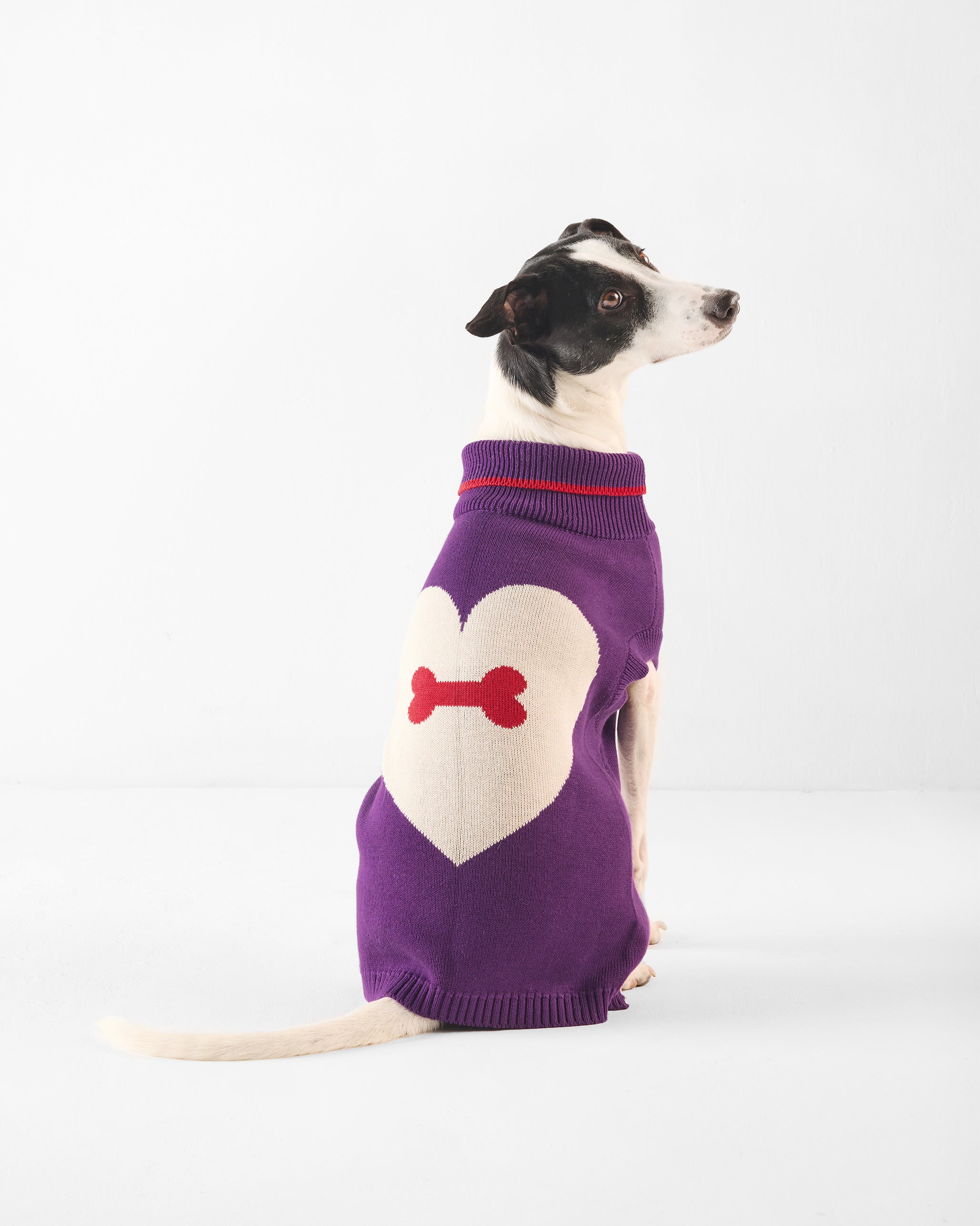 Fur-ever Dog Sweater - Purple