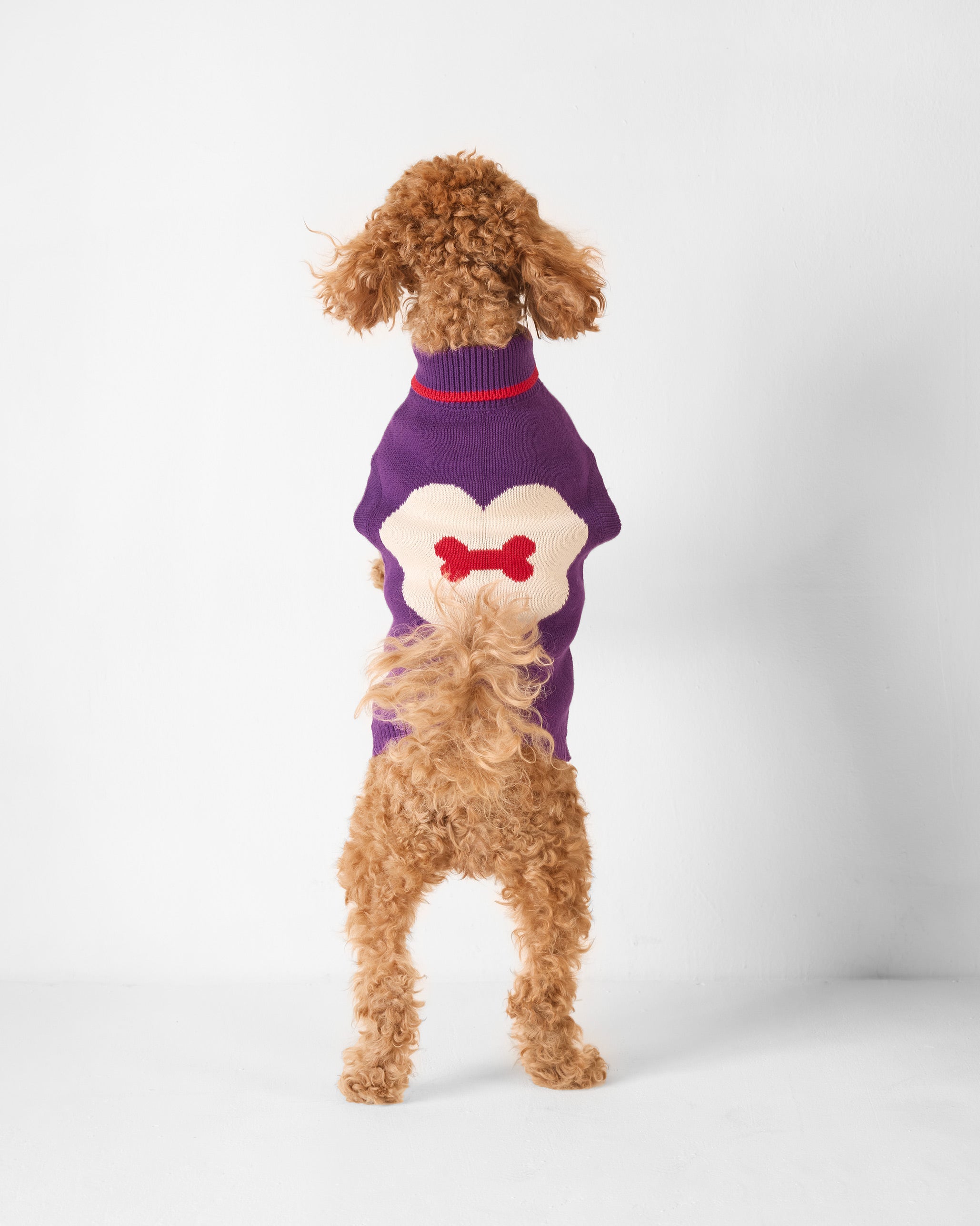 Fur-ever Dog Sweater - Purple