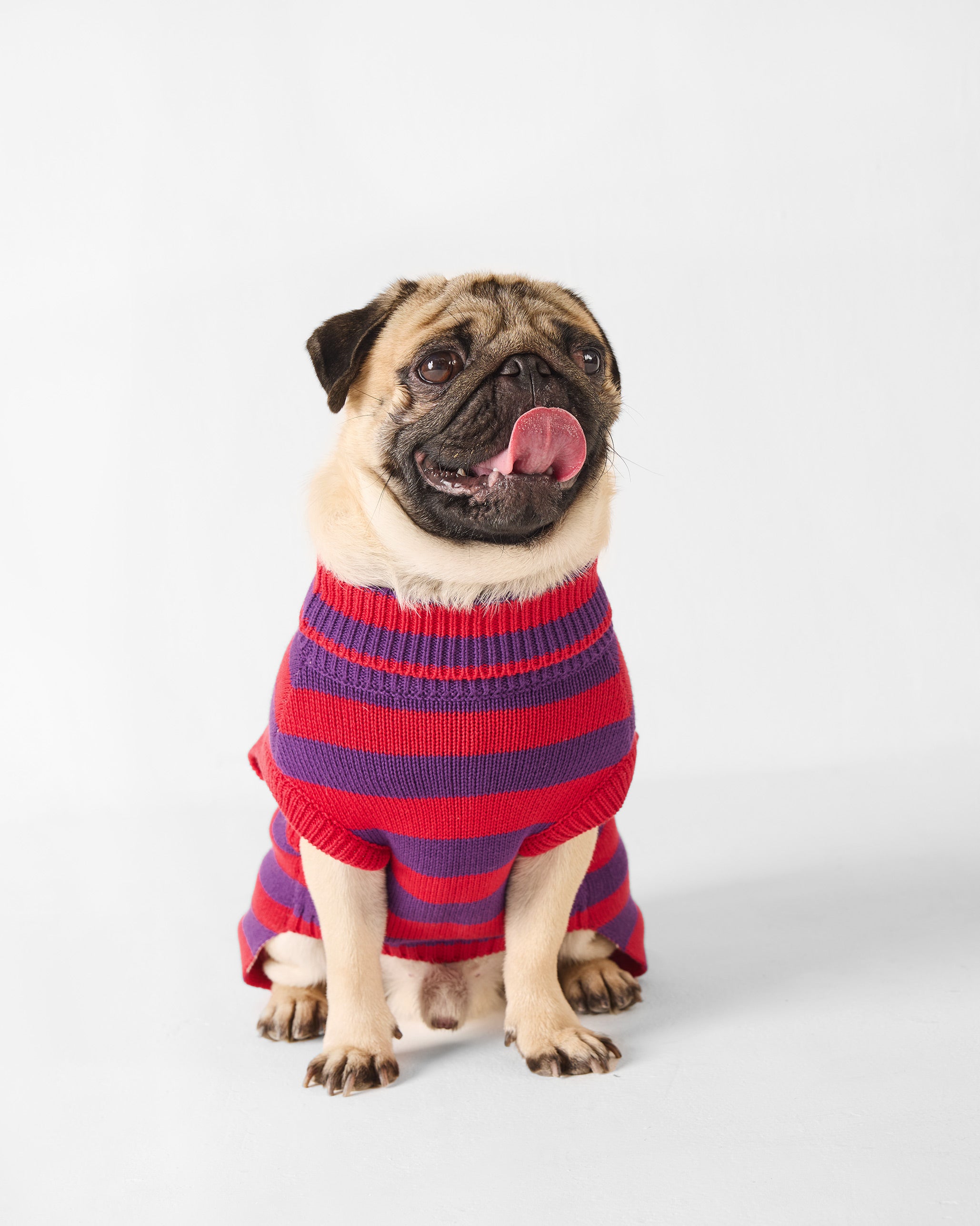 Cosmic Canine Dog Sweater - Red and purple