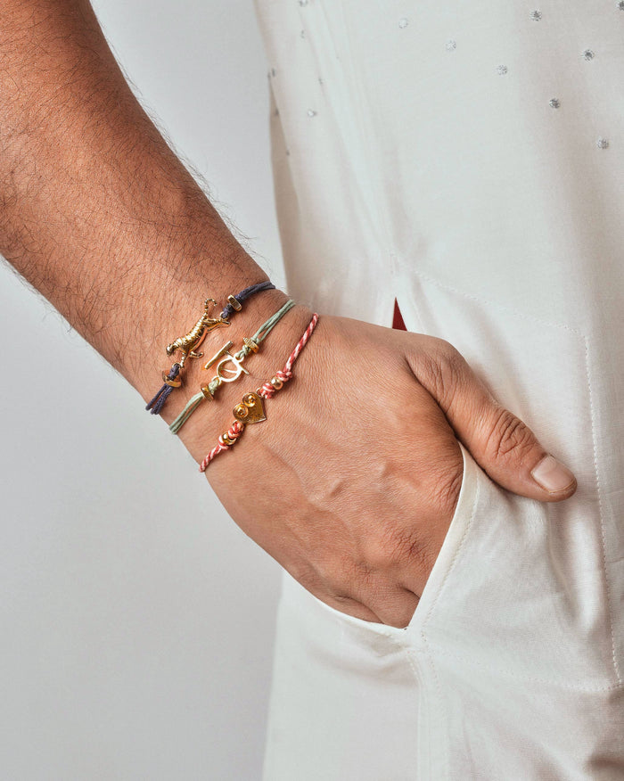 The Tiger Rakhi Set
