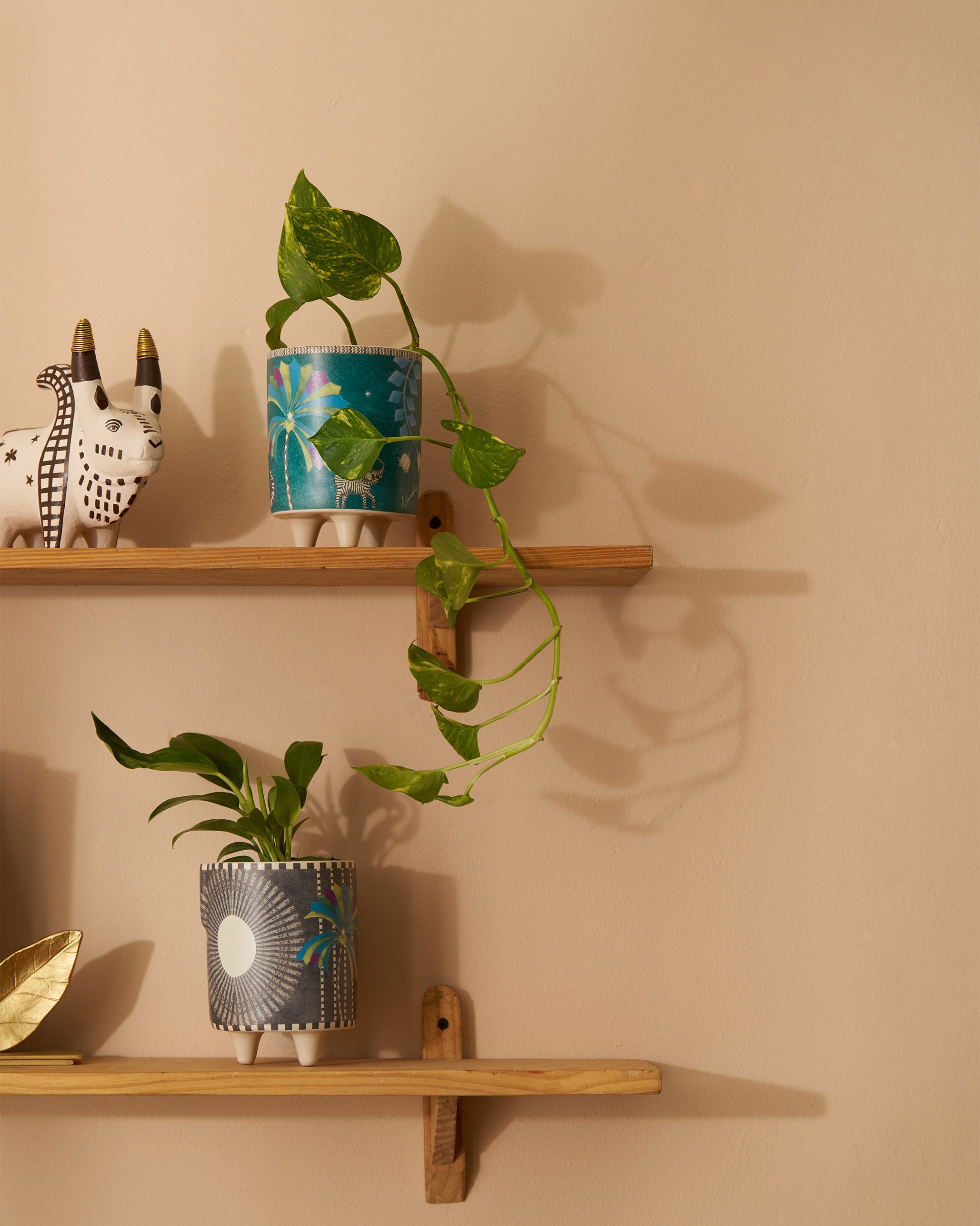 Palm Bloom Planter - Set of 2