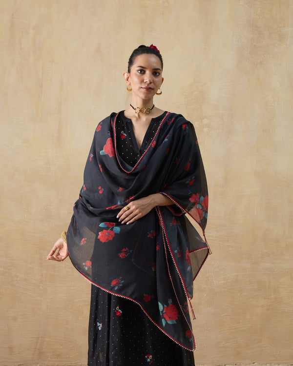 Fizz Dupatta