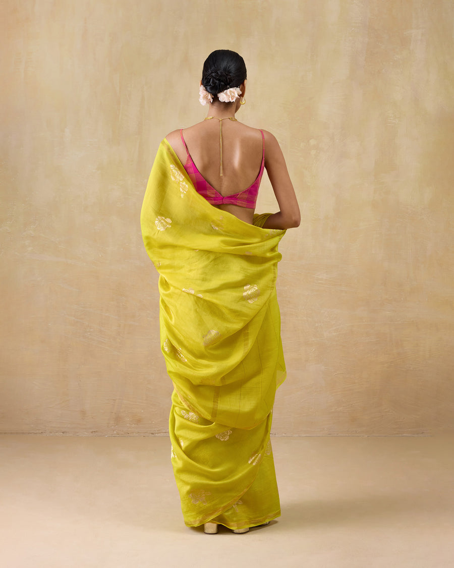 Back view of the Sunset Sari, the pallu draped full across the back.