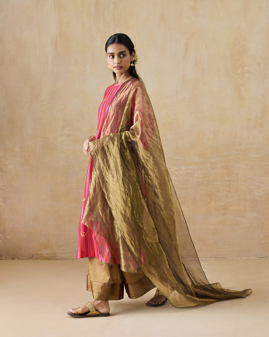 The Marpeta Dupatta trailing behind over the Galaxy Kurta and Charisma Pants, the sheer tissue catching the light.