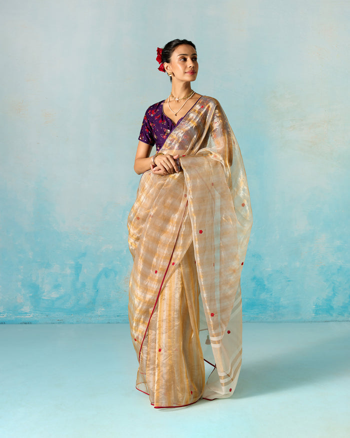Person standing wearing an embroidered gold tissue sari with red dot motifs.