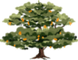 Gift Trees