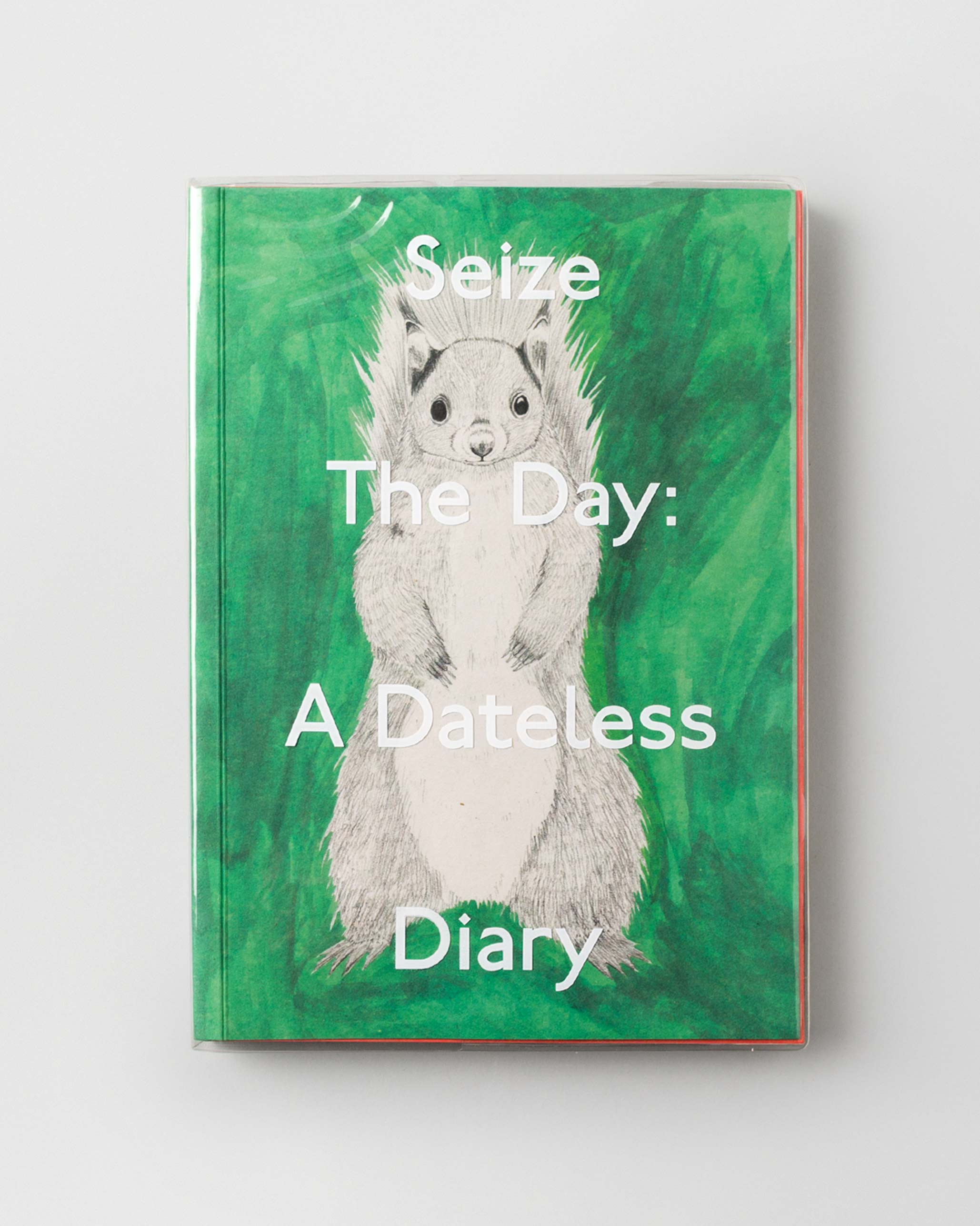 Seize the Day: A Dateless Planner (Diary)