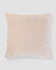 Asante Velvet Cushion Cover - Taupe