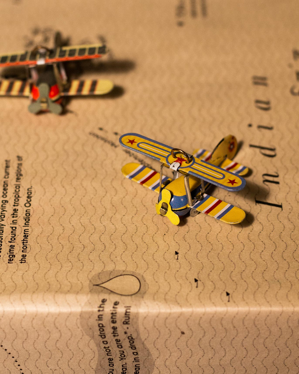 Tin Seaplane thumbnail 5