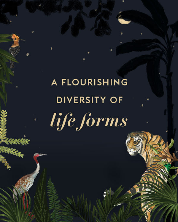 A Flourishing Diversity of Life Forms