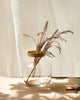 Uzo Glass Vase