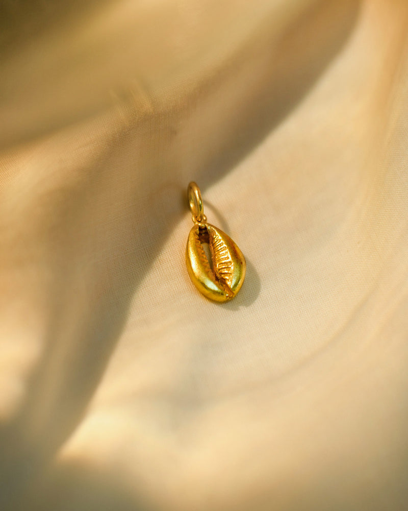 Cowri shell charm
