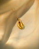 Cowri shell charm