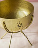 Myra Planter