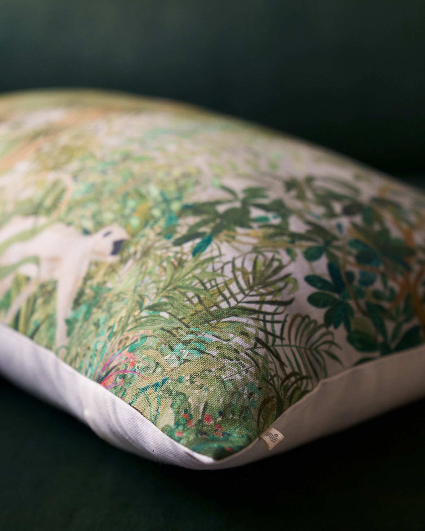 Fan Palm with Malabar Trogon Cushion Cover