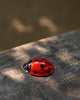 Lady Bug Clicker Toy