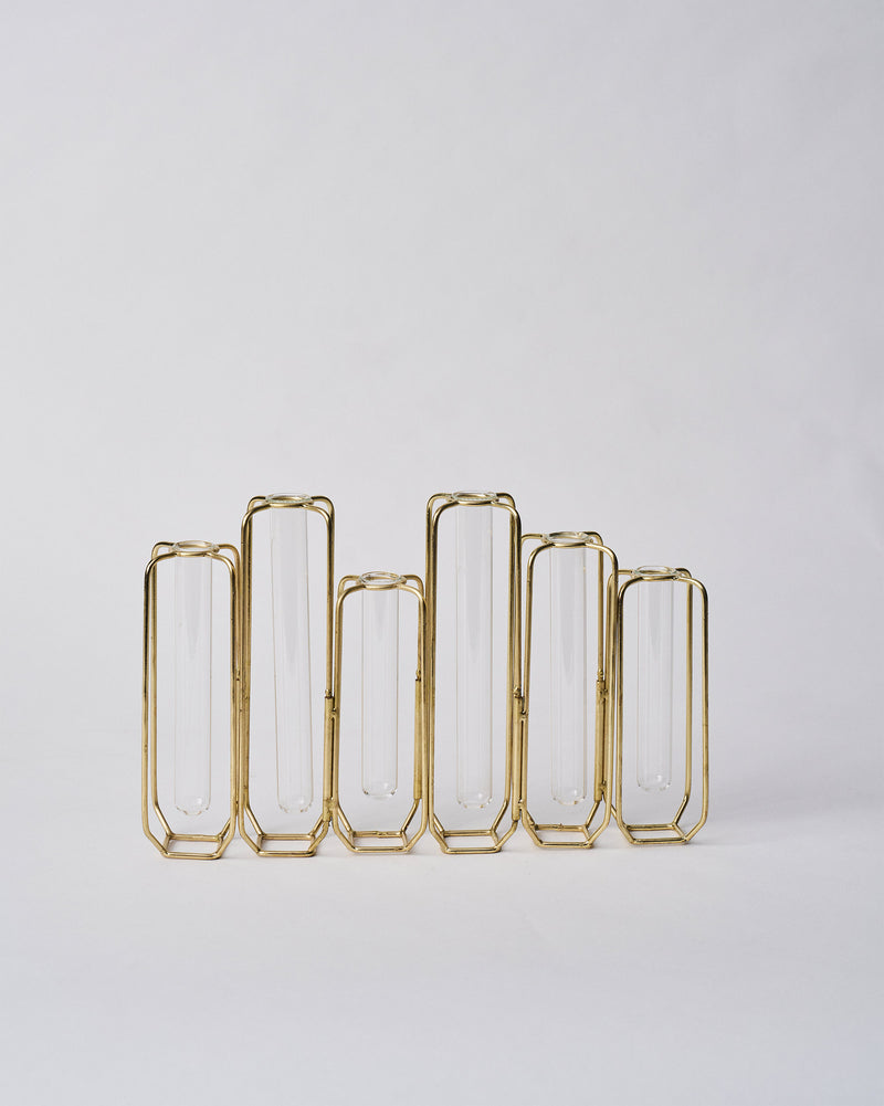 Test Tube Vase (Set of 6)