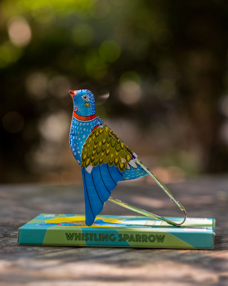 Whistling Sparrow - Blue
