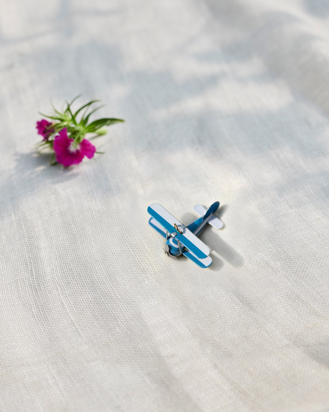 Tin seaplane - blue&white