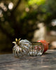 Anar Deco Jar