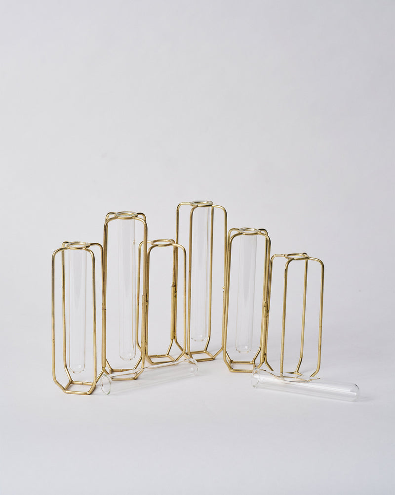 Test Tube Vase (Set of 6)