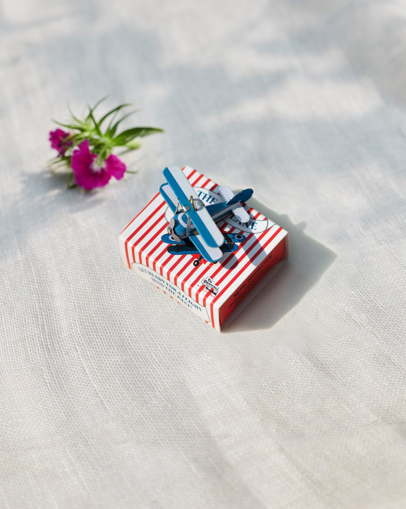 Tin seaplane - blue&white