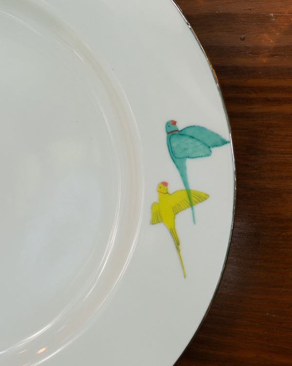 Close view of teal and yellow birds on the rim