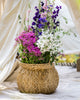 Khasi Planter