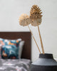 Kangra Pine Cones (Set of 3)