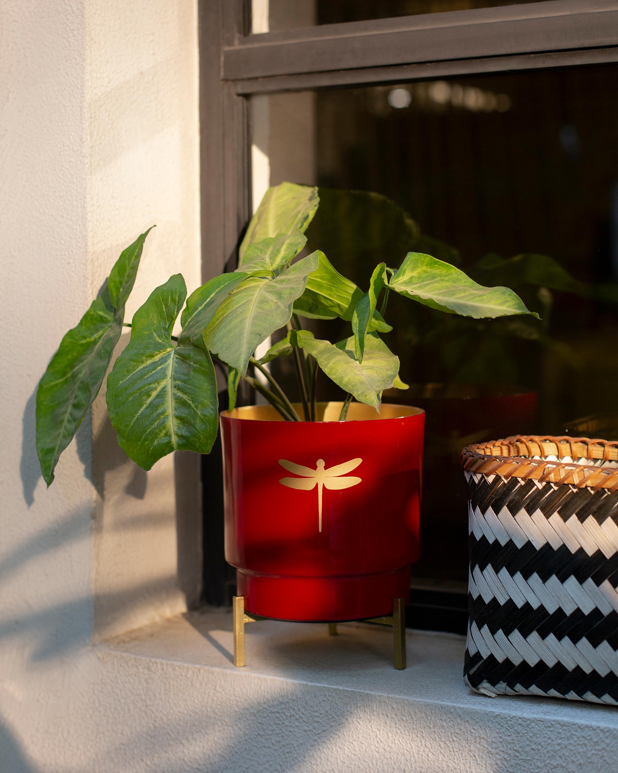 Ruby Dragonfly Planter