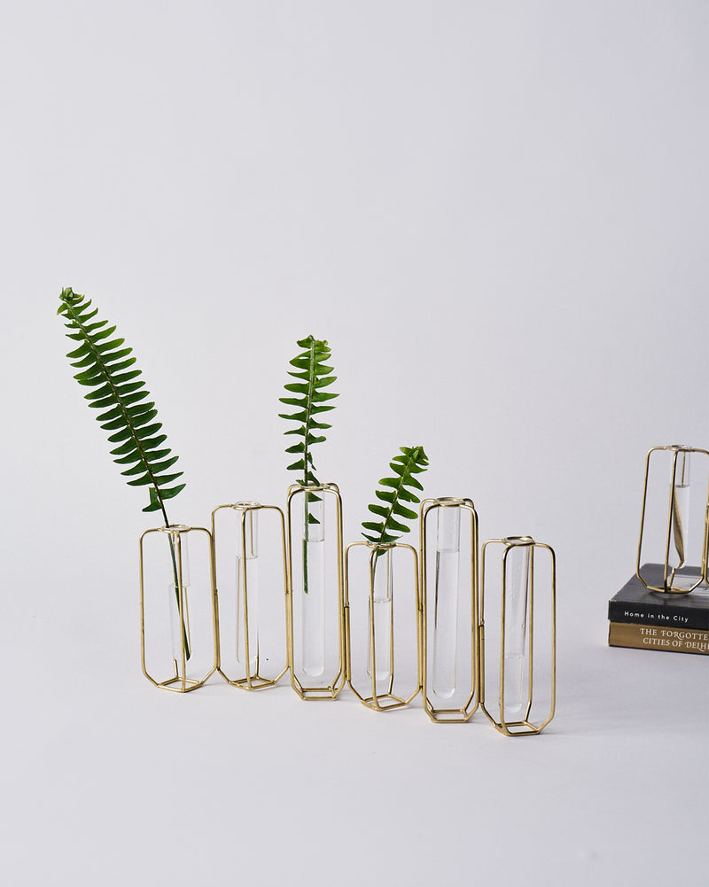 Test Tube Vase (Set of 6)