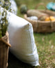 Choti Gaiya Cushion Cover