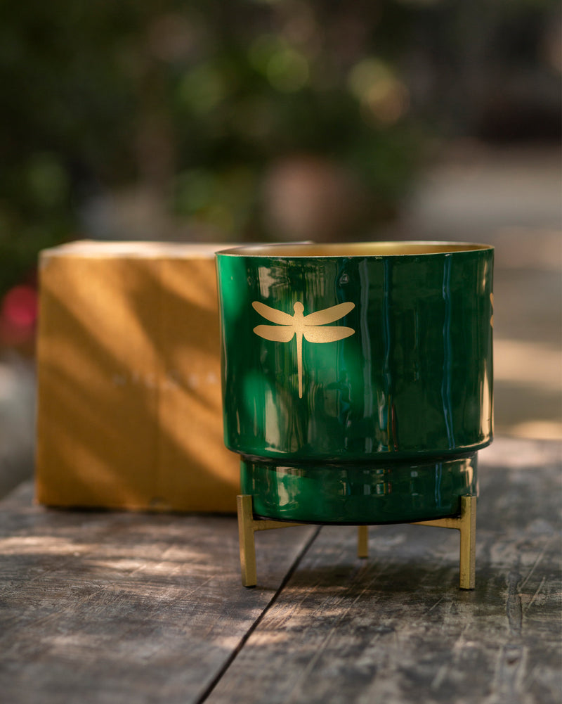 Emerald Dragonfly Planter