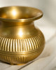 Godavari Lota - Small