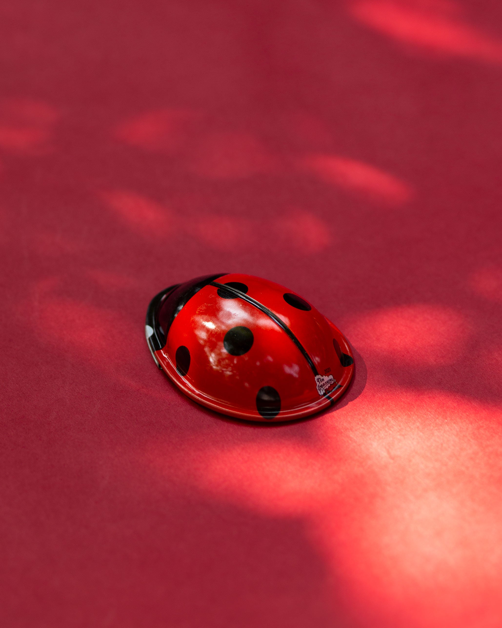 Lady Bug Clicker Toy