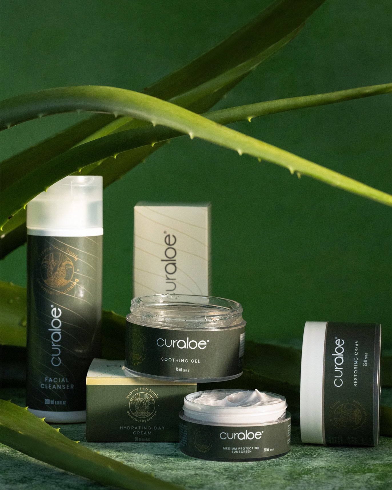 Curaloe Essential Hydrating Day Cream