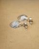Fan Shell Earrings - Silver